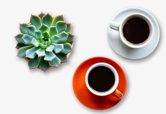 Tomemos un café